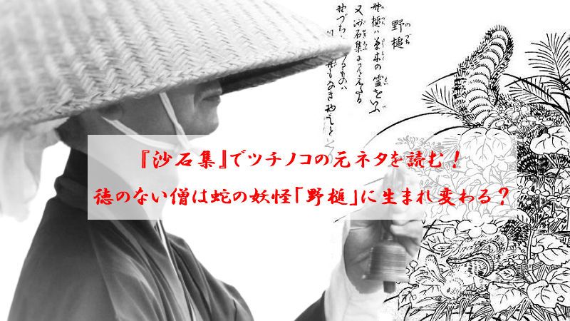 『沙石集』でツチノコの元ネタを読む！徳のない僧は蛇の妖怪「野槌」に生まれ変わる？